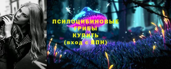 ECSTASY Алексин