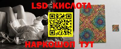 индика Пенза