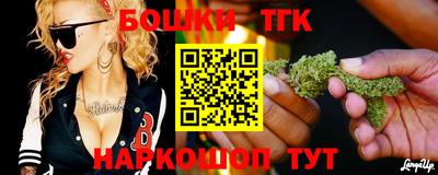 индика Пенза