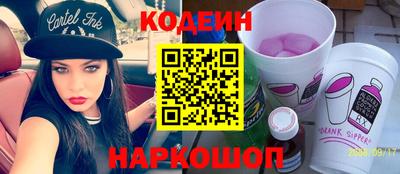 индика Пенза