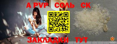 индика Пенза